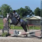 Thoroughbred Makeover Diary: October Plans Set for Gray Magician and Imposing Ruler